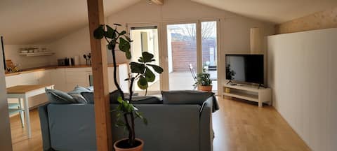 Lovely apartment overlooking Lake Murten and the Alps