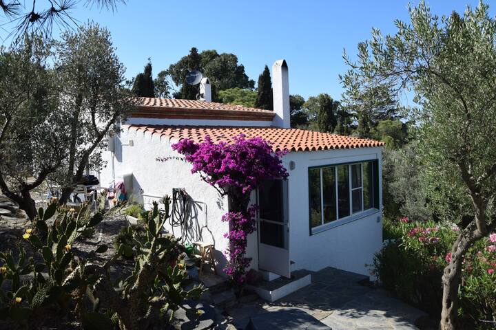 Casa Gaia: eco-vakantiehuis met zeezicht (6 pers.) gallery image 5