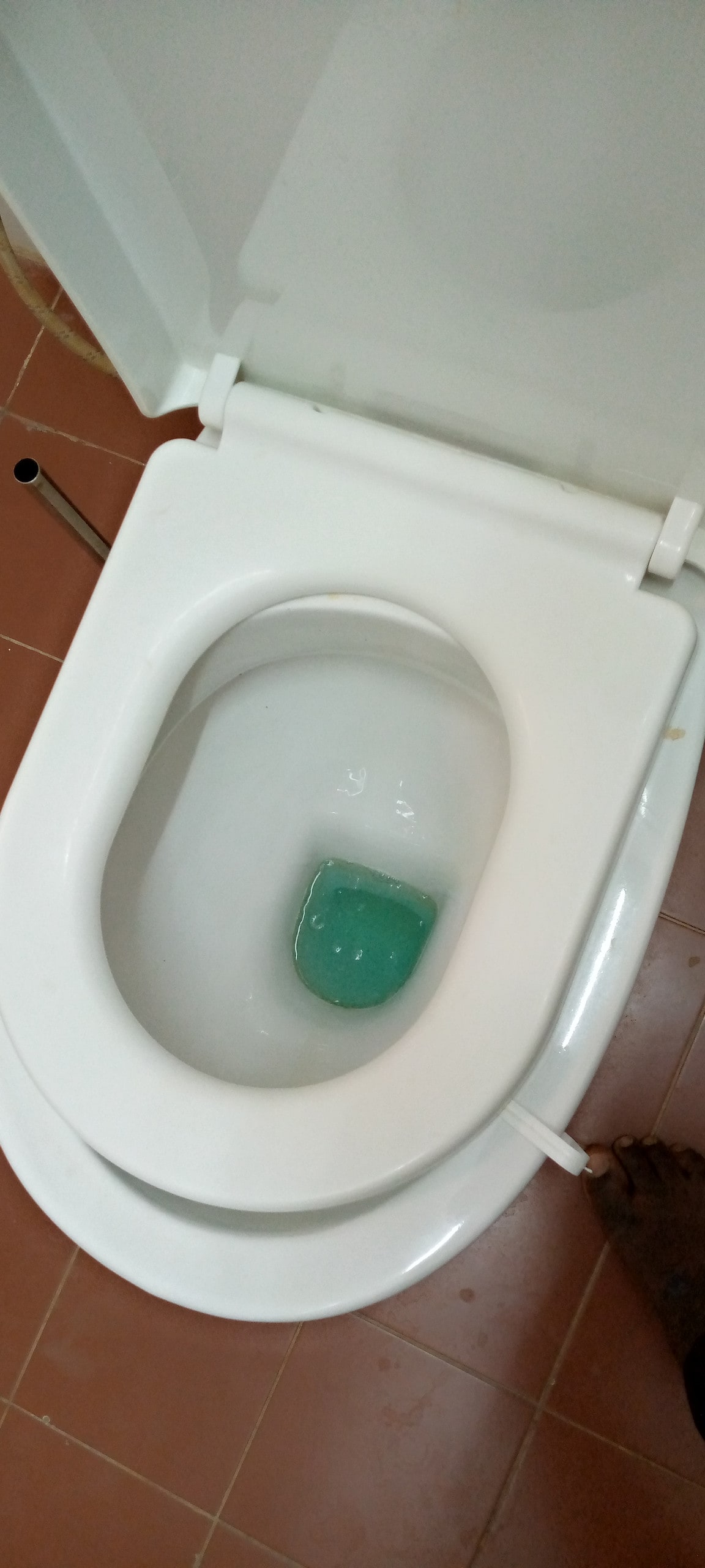 A clean, white toilet bowl is visible, featuring a blue cleaning tablet submerged in the water. The floor is tiled in a warm earthy tone, providing a neutral backdrop.