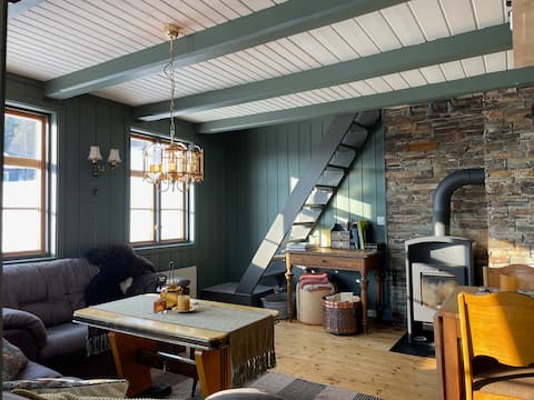 Successful Airbnb property: Cozy log cabin on the farm Hovde in Skurdalen in Hol