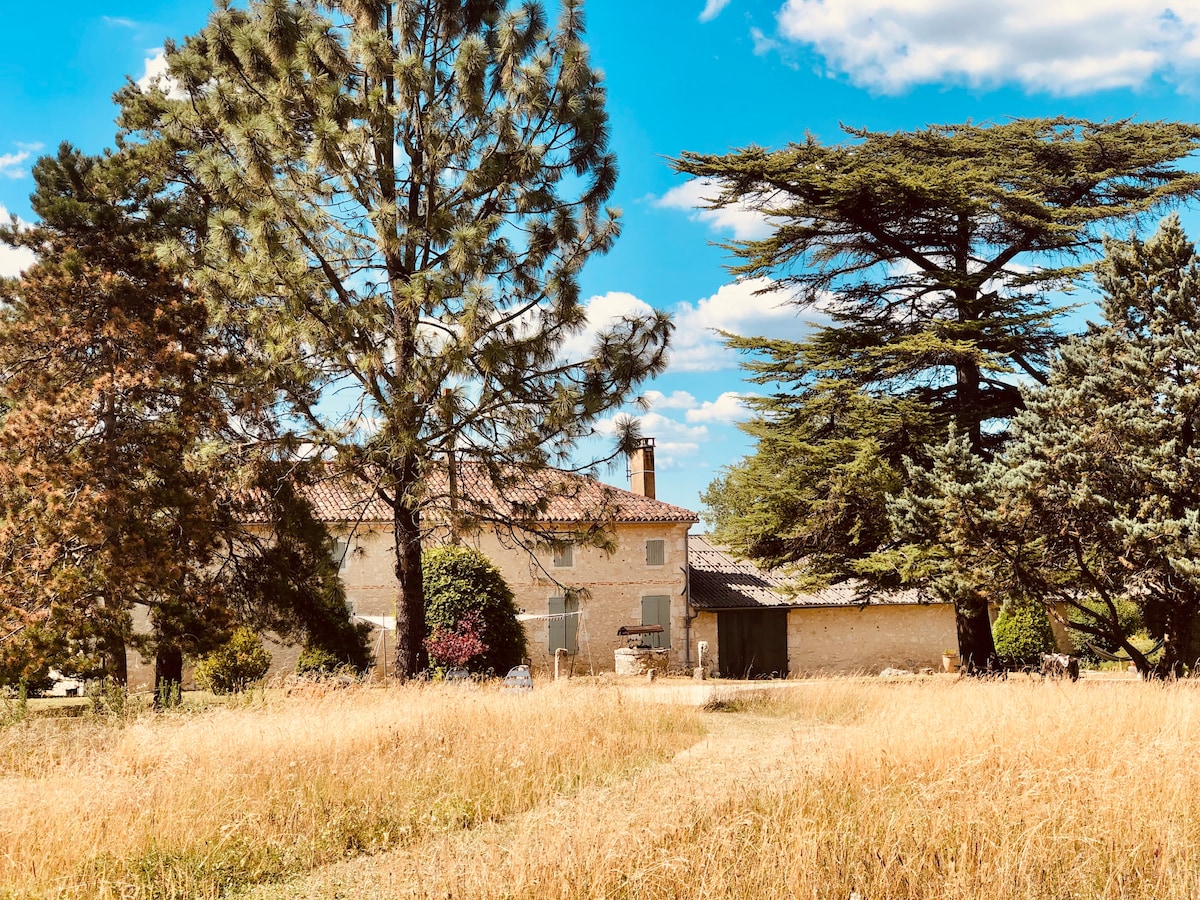 A historic farmhouse is nestled amidst tall trees and golden grasses, creating a serene backdrop. The structure features a traditional roof and rustic charm, with smoke rising gently from the chimney, suggesting a warm and inviting space inside.