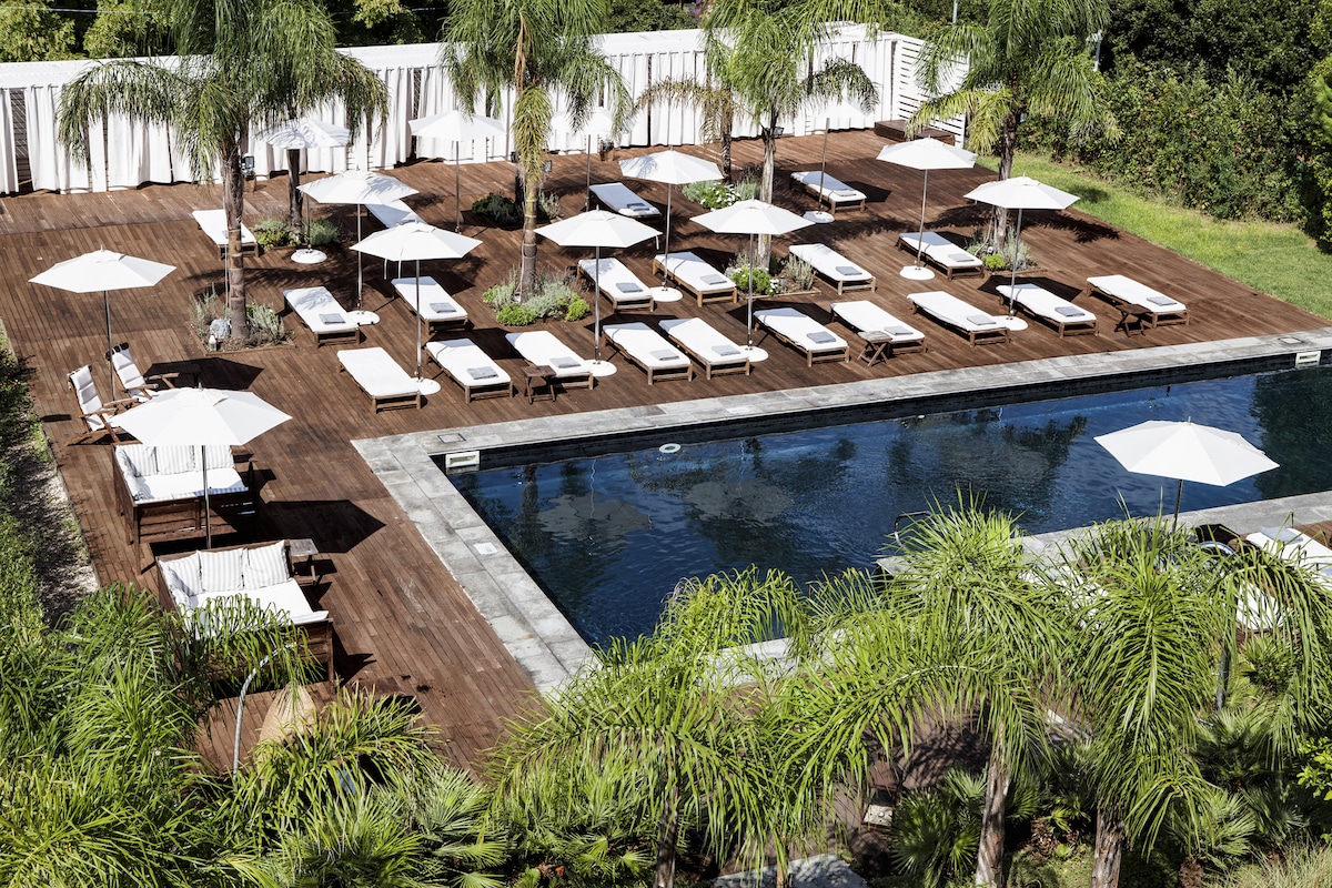 A spacious outdoor area features sun loungers and umbrellas arranged around a rectangular pool. Lush greenery, including palm trees, surrounds the deck, enhancing the relaxing atmosphere. The pool is outlined with a stone border, and light reflects off the water's surface.