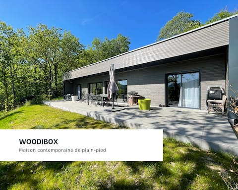 Contemporary single-story house.