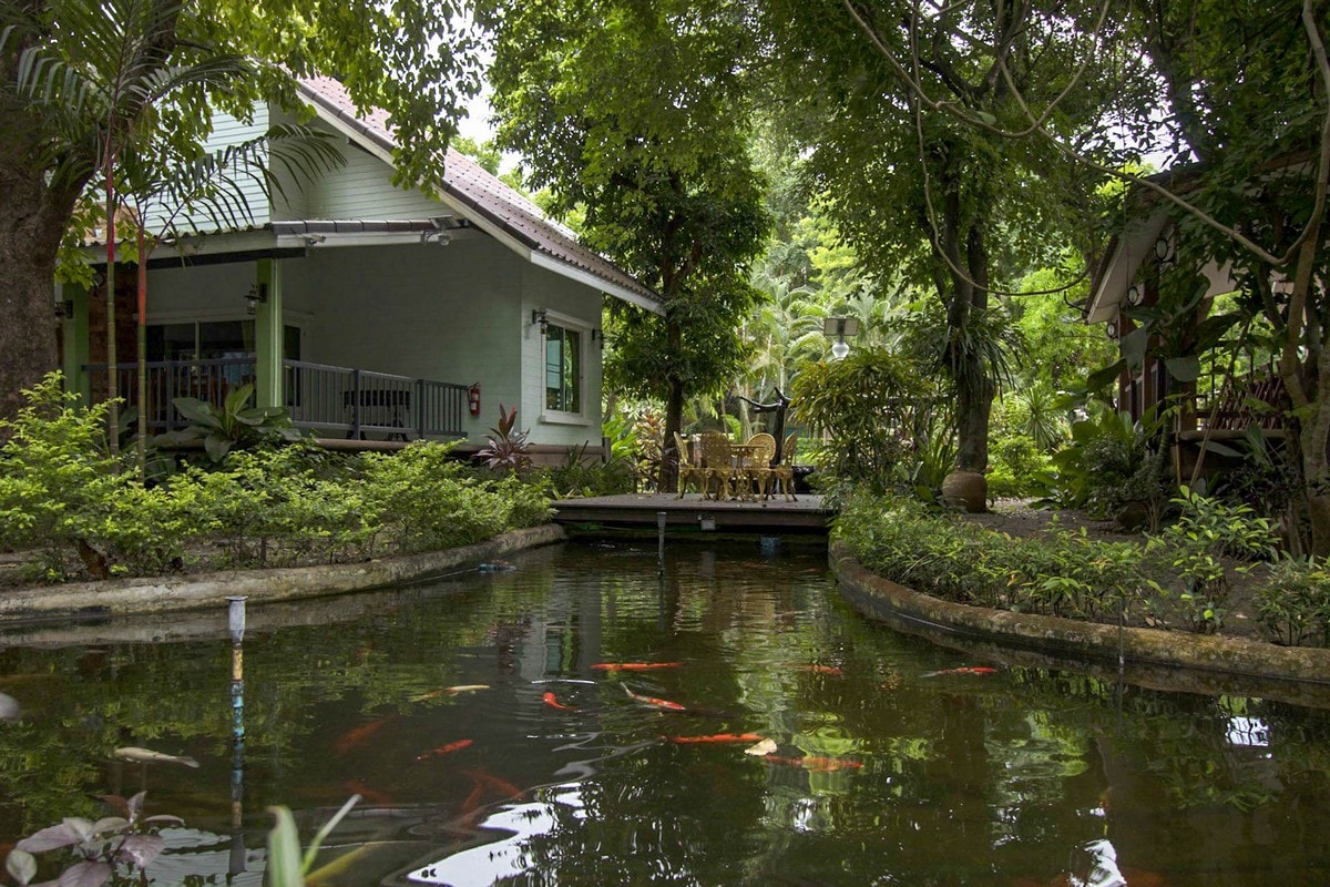 A serene outdoor space features a tranquil pond surrounded by lush greenery. Colorful koi fish swim gracefully in the water. A wooden deck provides a seating area with several chairs, creating a peaceful spot to enjoy the natural surroundings.