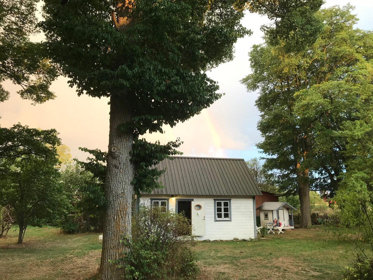 A cozy white cottage is framed by lush green trees, providing a sense of seclusion. A rainbow can be seen in the background, suggesting the promise of tranquility. The surrounding yard is expansive, with various plants contributing to the natural setting.