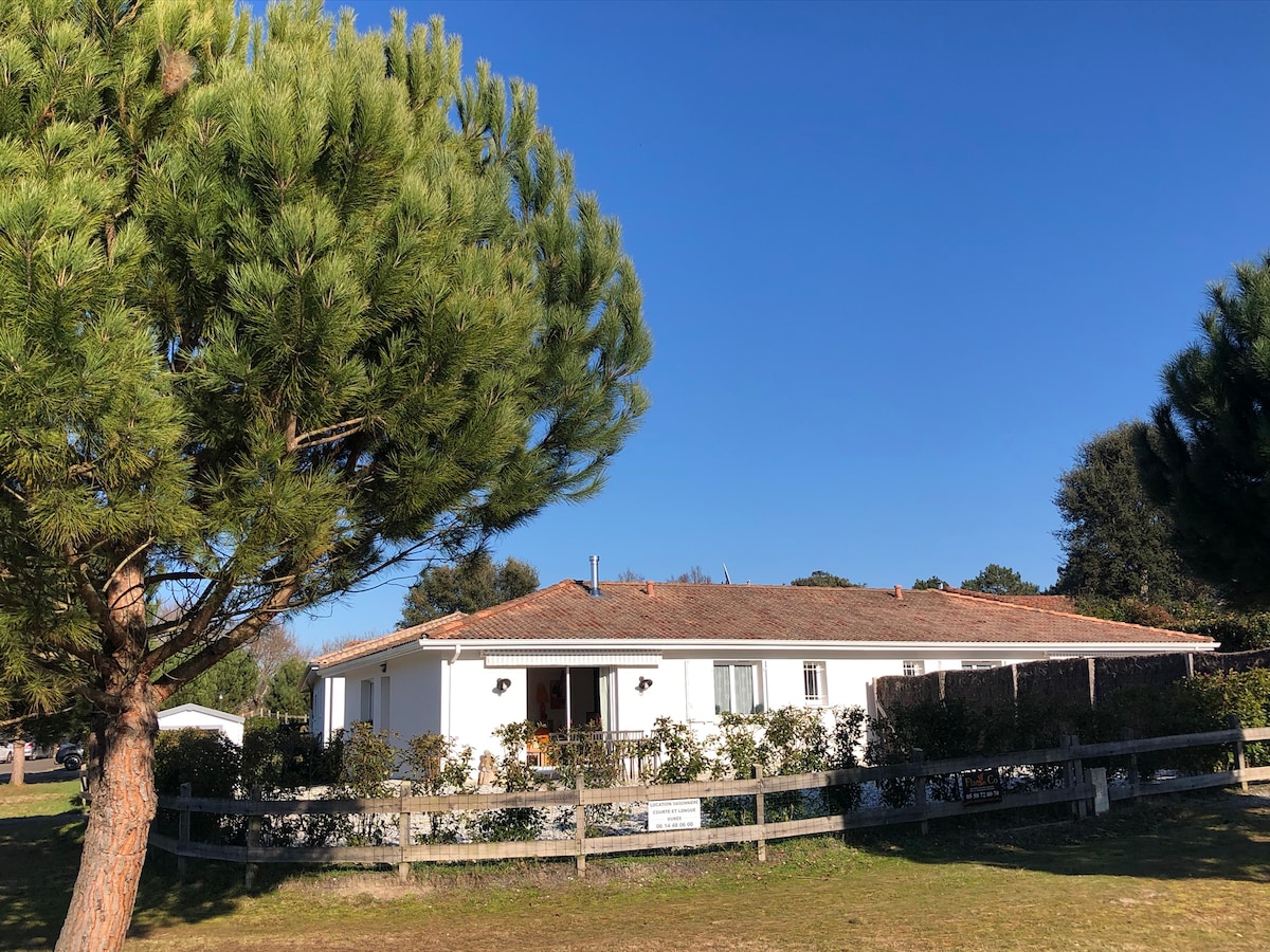 The exterior of a single-story house is presented, surrounded by well-maintained greenery and framed by tall pine trees. A wooden fence delineates the property, with a clear blue sky overhead enhancing the peaceful setting.