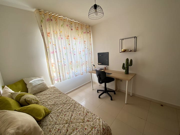 Studio and Single Room