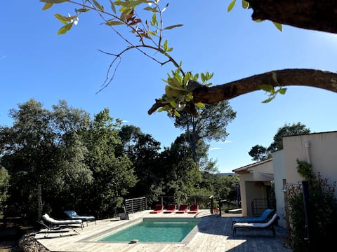 Beautiful villa with swimming pool in nature