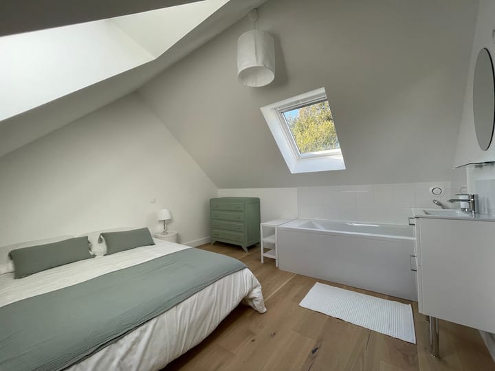Habitación 1