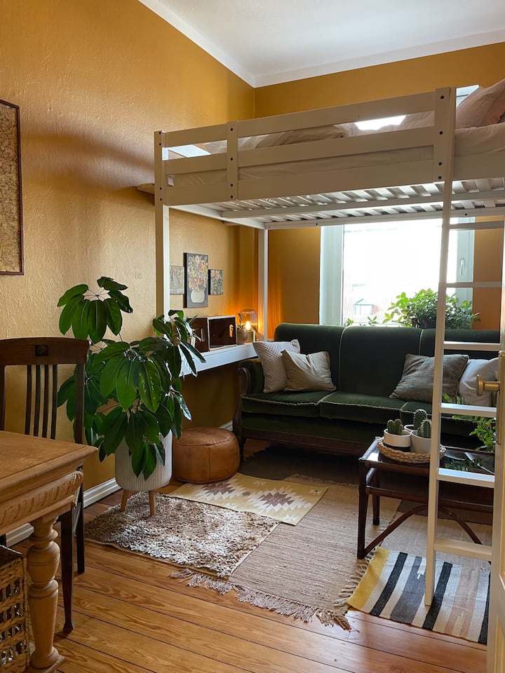 Beautiful room in the center of the old town Apartments for Rent in