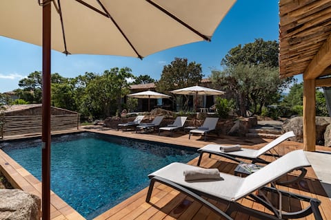 Luxury villa with heated pool, spa and see view