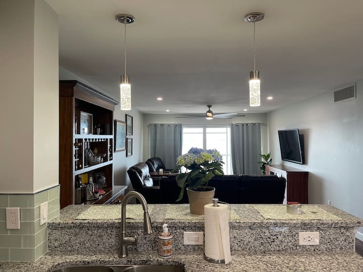 Downtown Lakefront Condo With Stunning Sunsets - Dinner Lake, FL