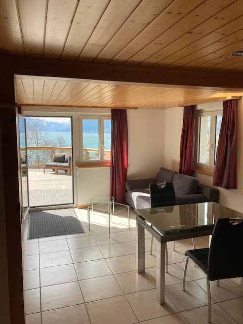 Top performing Airbnb: Gippi Wellness in Brienz (Be)