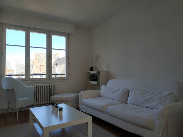 Le Magnolia - Appartement Lumineux - Tours