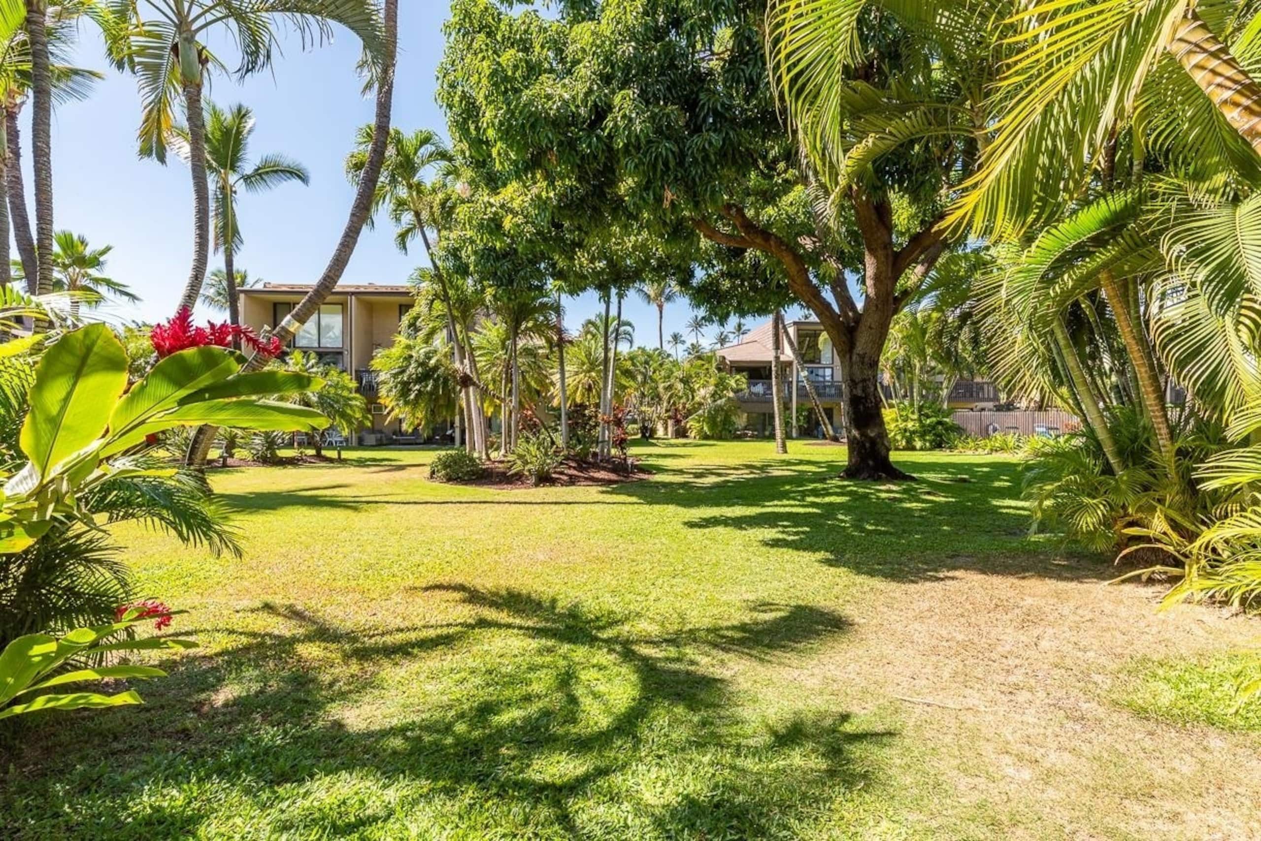 Condo in Kihei · ★4.85 · 1 bedroom · 1 bed · 1 private bath - Image 14