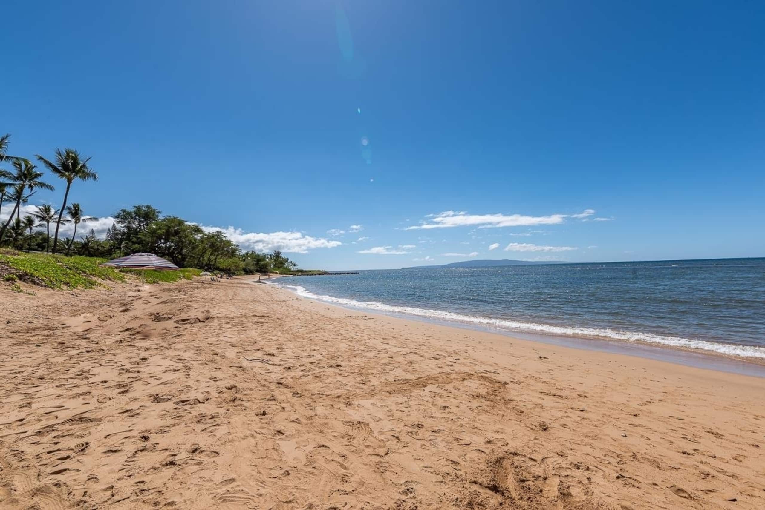 Condo in Kihei · ★4.85 · 1 bedroom · 1 bed · 1 private bath - Image 20