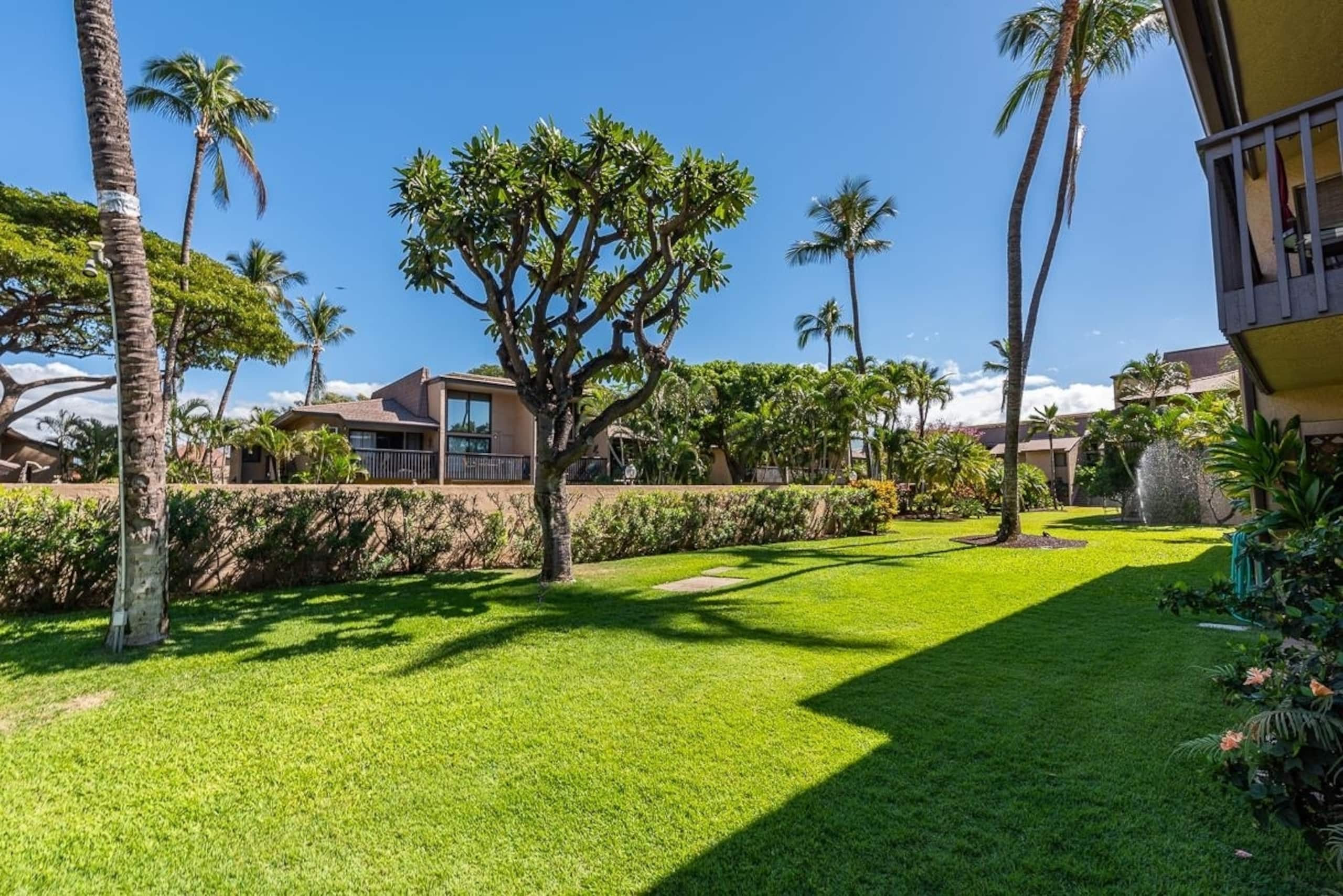 Condo in Kihei · ★4.85 · 1 bedroom · 1 bed · 1 private bath - Image 15