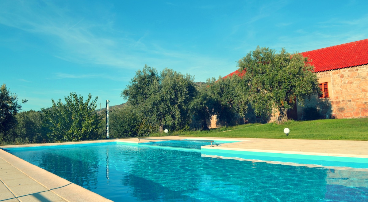 A tranquil swimming pool is surrounded by lush greenery and mature trees, reflecting the clear blue sky. A rustic stone building with a red roof is situated nearby, complementing the serene outdoor environment.