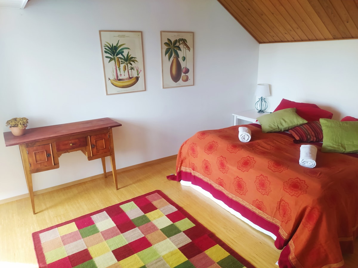 A spacious bedroom features a large bed adorned with vibrant red and green decorative pillows. A wooden desk stands beside the bed, and colorful artwork is displayed on the walls. A soft, patterned rug adds warmth to the bamboo floor.