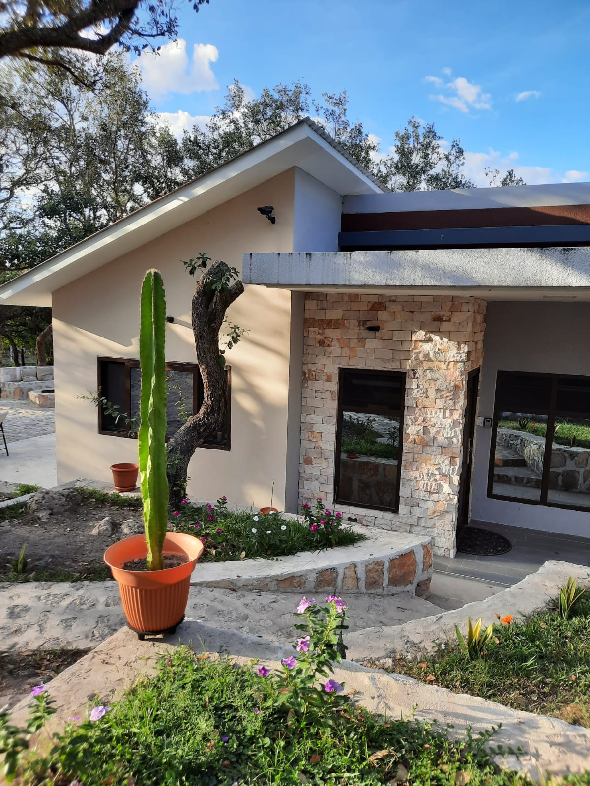 The entrance features a modern building with a combination of stone and plastered walls. A tall cactus is displayed in a terracotta pot at the forefront, surrounded by colorful flowering plants and a well-maintained pathway leading to the door.