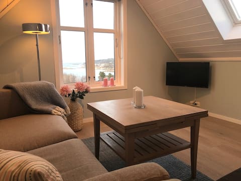 Super cozy loft apartment with lovely views
