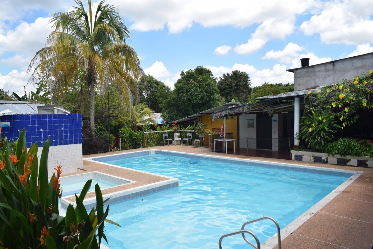 A shared swimming pool is surrounded by tropical plants and features a separate shallow area. Sun loungers are placed nearby under the shade of palm trees. Bright blue skies and fluffy clouds create a lively, inviting atmosphere while the design promises relaxation.