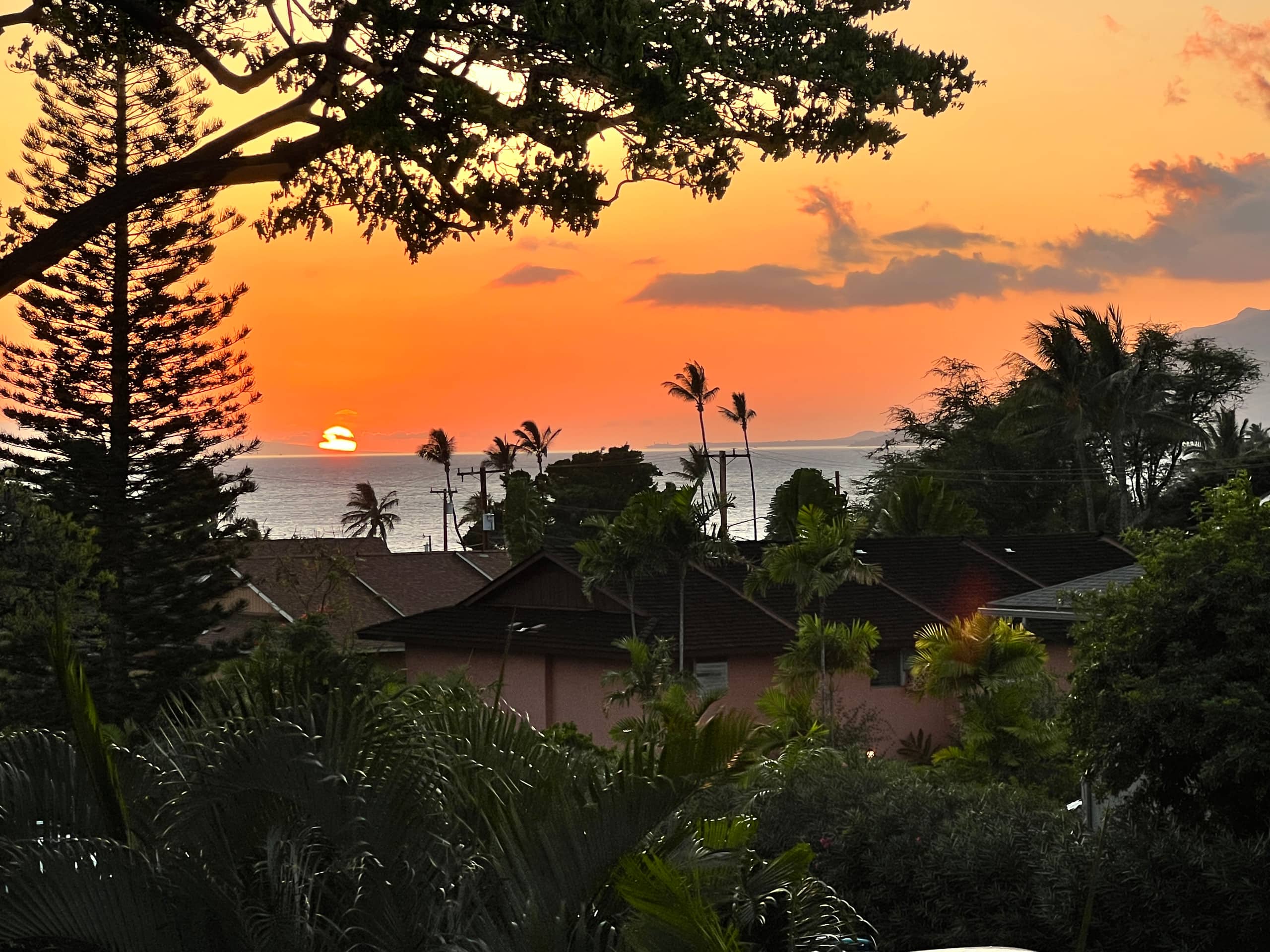 Condo in Kihei · ★4.95 · 1 bedroom · 1 bed · 1 private bath - Image 32