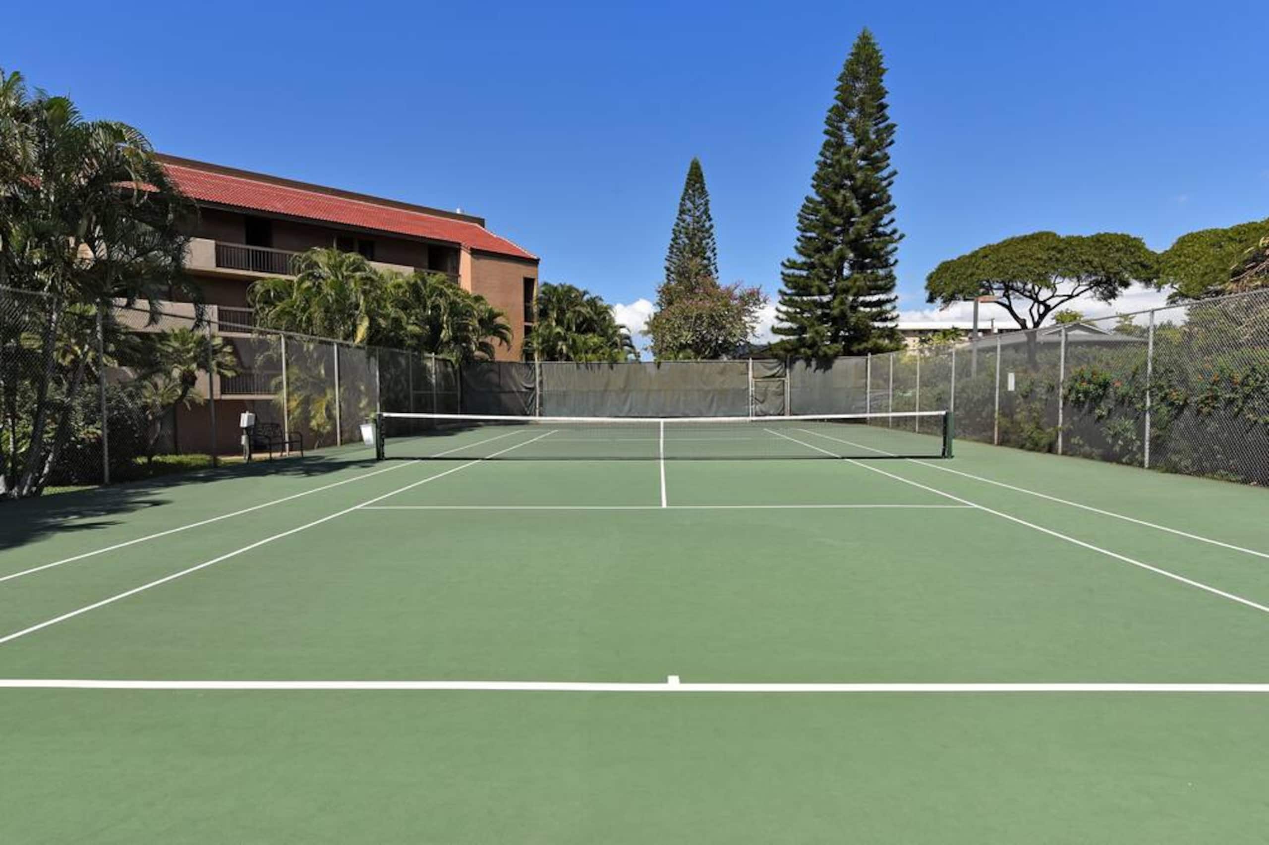 Condo in Kihei · ★4.95 · 1 bedroom · 1 bed · 1 private bath - Image 35