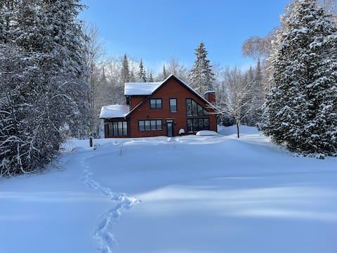 Cheerful cottage surrounded by nature