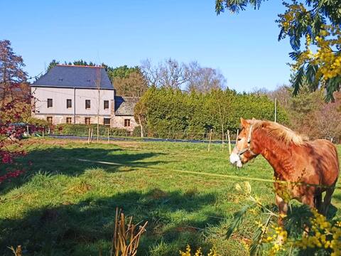 Moulin de la Houssaie - Wooded park and its ponds