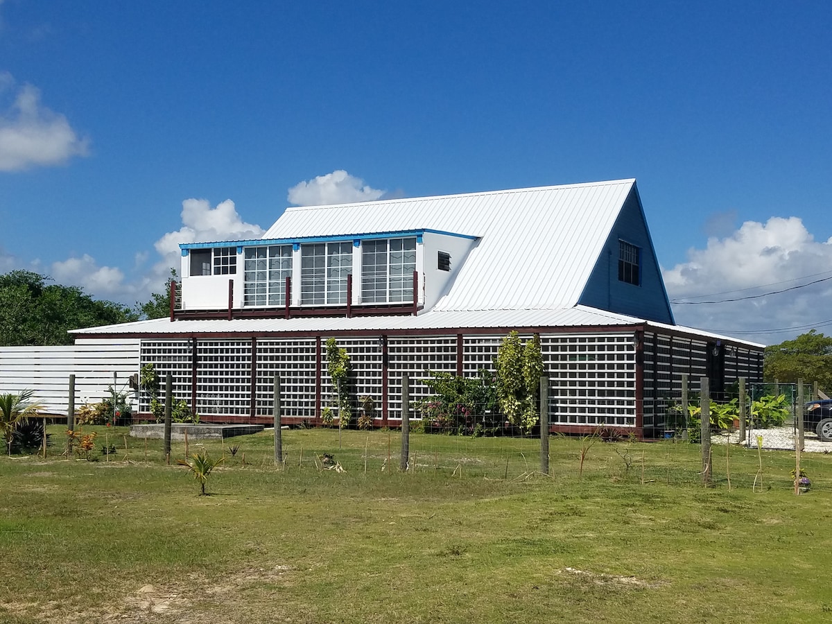 The property features a two-story house with a distinctive sloped roof and large windows. The exterior showcases a mix of light and dark materials, surrounded by a grassy area and landscaped with various plants. A clear blue sky complements the overall setting.