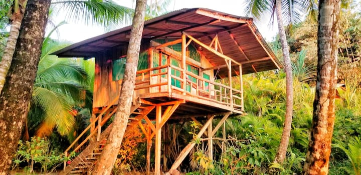 Ocean Forest Ecolodge Matrimonial Beach Bungalow — 1 bedroom vacation rental in Playa Rincon de San Josecito