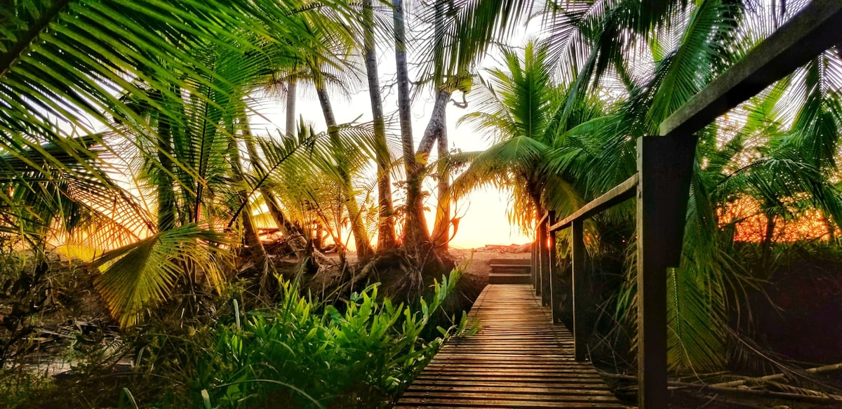 A wooden pathway stretches through lush tropical vegetation, leading towards a vibrant sunset visible through palm trees. Green foliage frames the scene, enhancing the natural beauty surrounding the path.