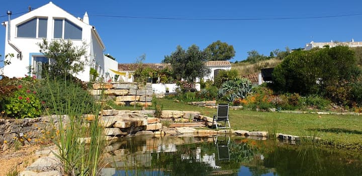 Lemontree New House
Set In The Countryside.