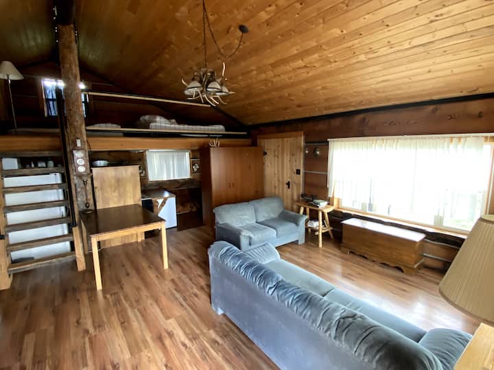End-of-the-road Rustic Cabin - Montana