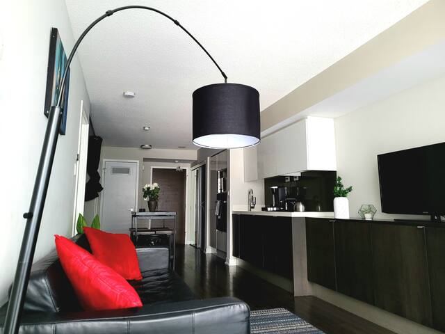 Luxury Spacious 2 Bed Condo + Plus Parking