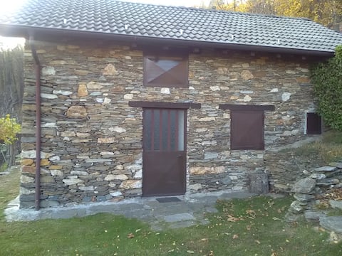 The Cabin in the Woods