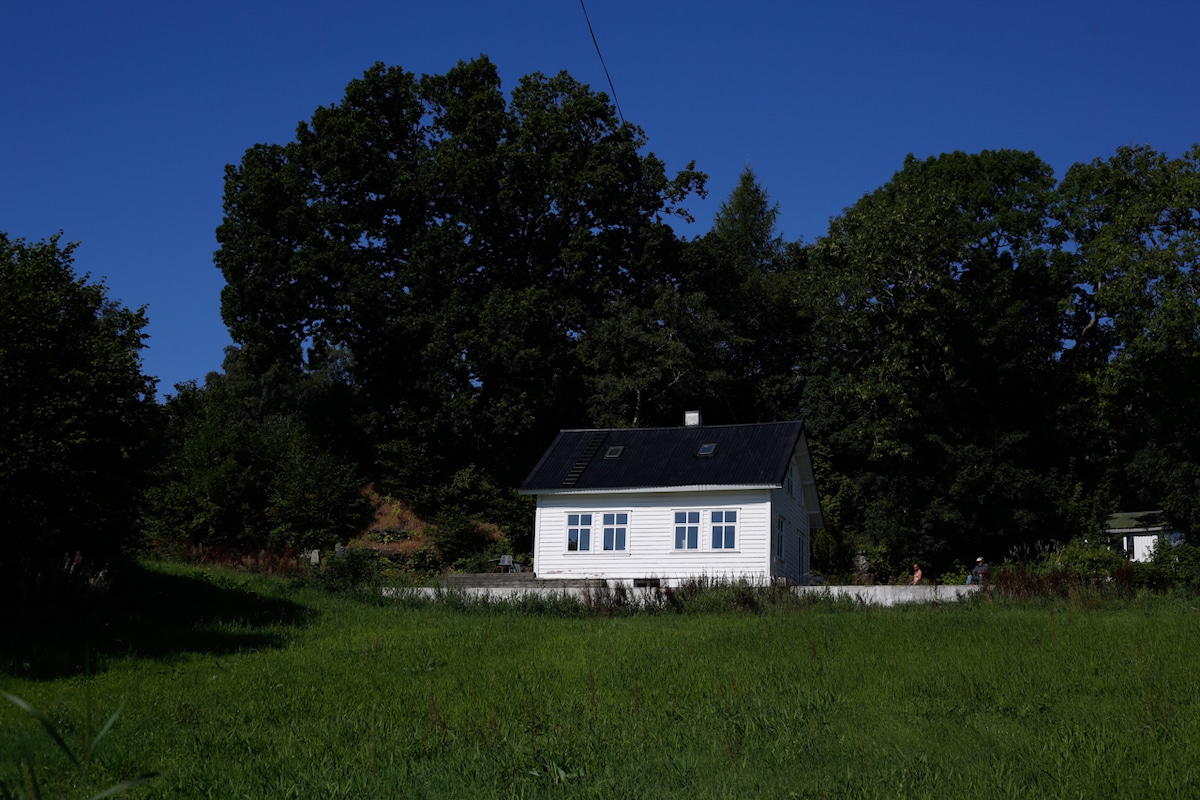 A traditional white house with a black roof is situated in a grassy area, surrounded by tall trees. The blue sky above enhances the serene setting. The house features multiple large windows that provide a view of the outdoor landscape.