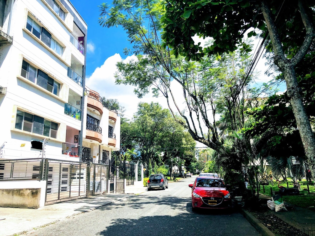 A tree-lined street in an exclusive area of Cali, featuring residential buildings on either side. The clear blue sky provides ample natural light, while a parked red car adds a pop of color to the serene environment.