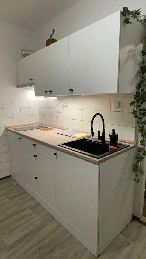 Successful Airbnb property: BaFi Apartment in Tanvald