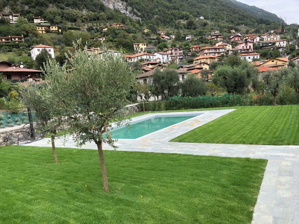 A spacious outdoor area features a well-maintained lawn bordered by olive trees and a sleek swimming pool. The background displays a hillside with charming residential buildings, surrounded by greenery, creating a serene environment.