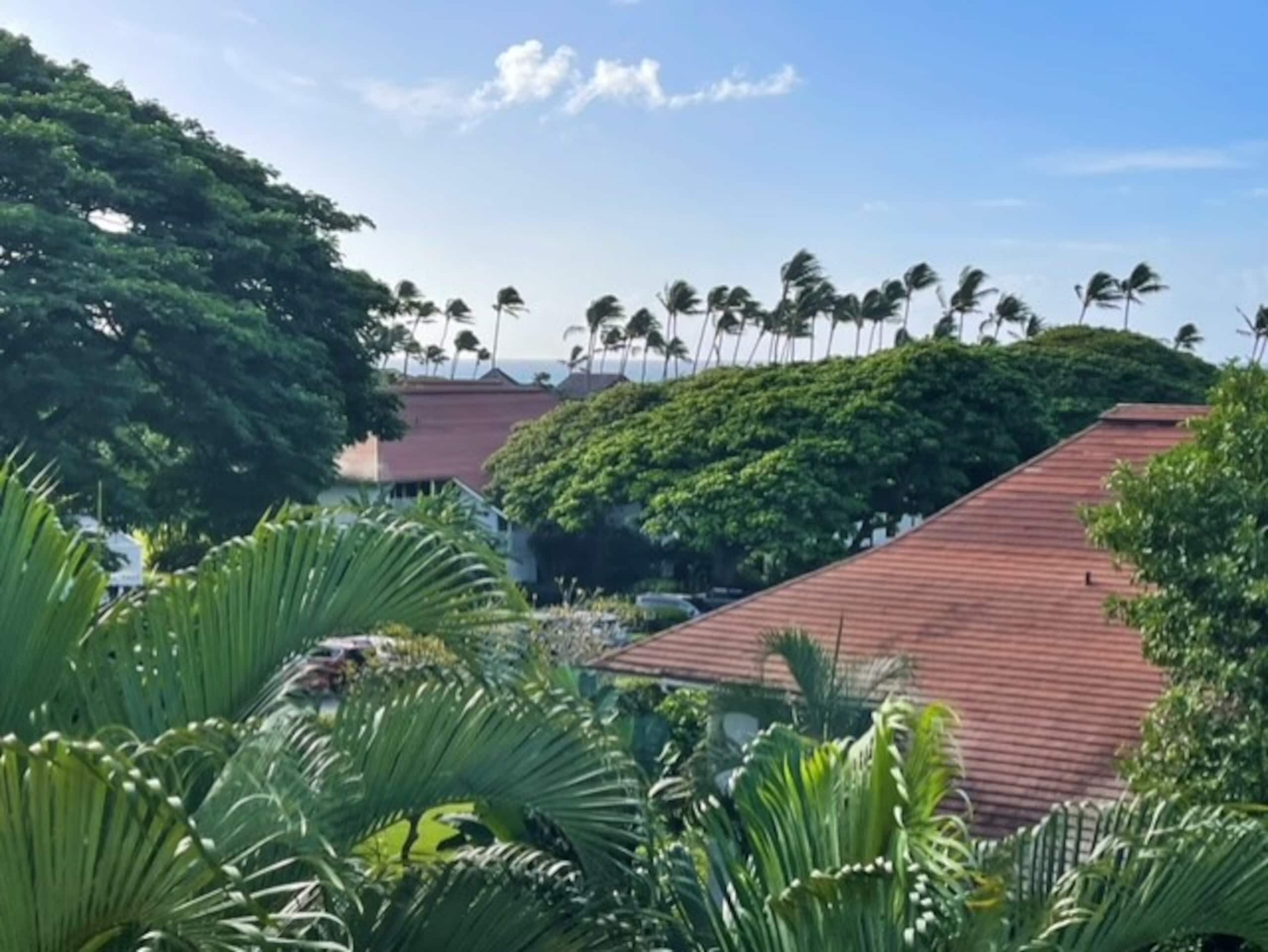 Aloha Kiahuna 247, A/C Top Floor, w/Ocean Views - Photo 14