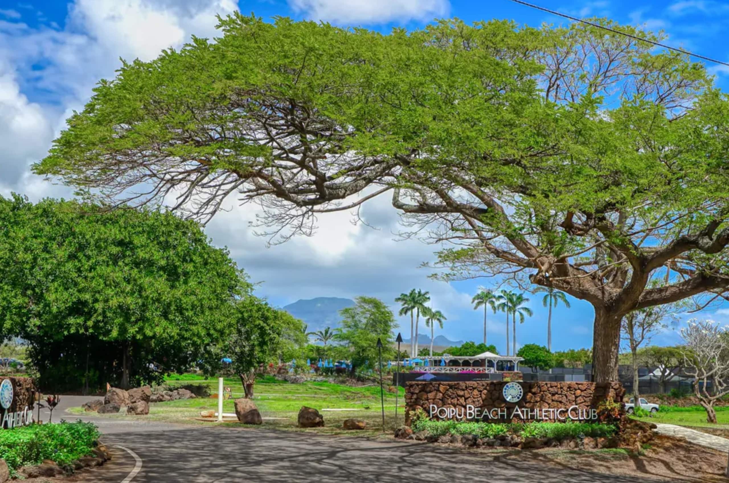 Aloha Kiahuna 247, A/C Top Floor, w/Ocean Views - Photo 20