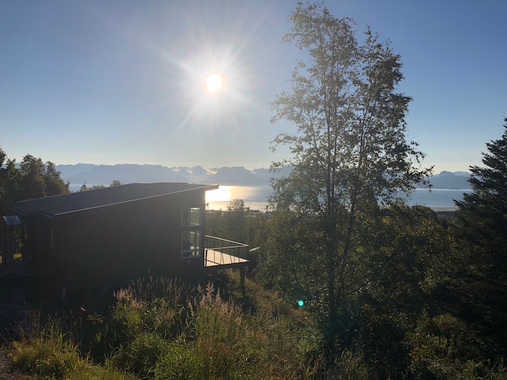 Modern cabin with spectacular views!