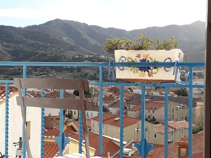Banyuls La Grande Bleue  : Studio T1 - Banyuls-sur-Mer