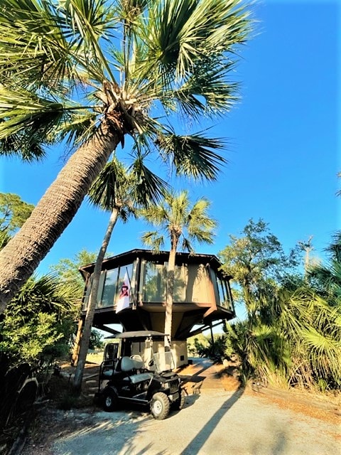 A unique treehouse structure is raised above ground, supported by sturdy beams. Lush palm trees surround the home, creating a tropical atmosphere. A brand new golf cart is parked underneath, providing easy transportation. Clear blue skies stretch overhead, enhancing the serene setting.