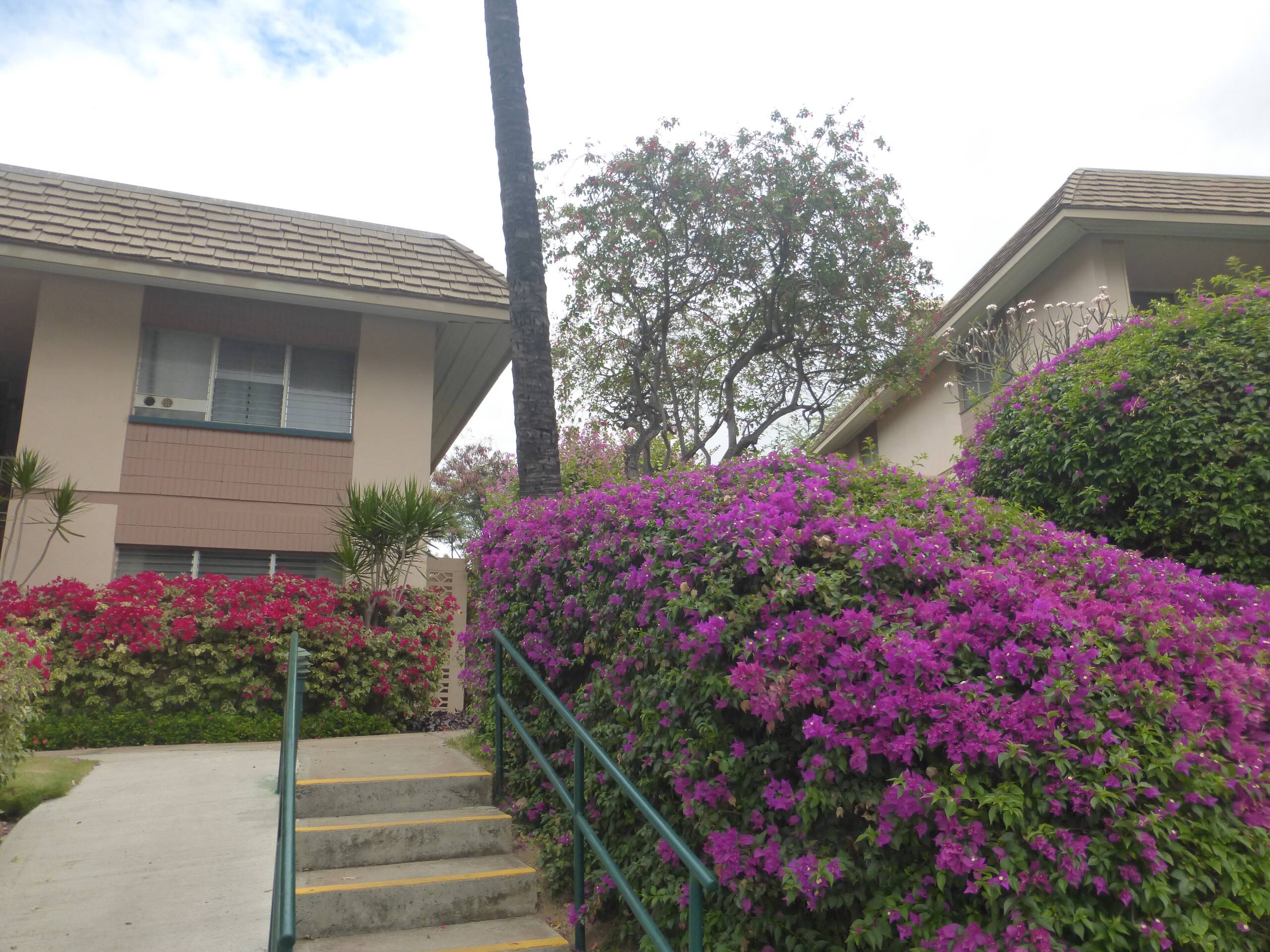 Maui Condo across fm Kam 2 in HOTEL Zoned Resort - Image 33