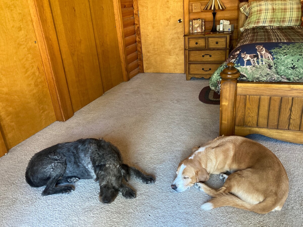 Catch a nap with your best friend now