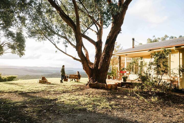 Cape Otway Homestead gallery image 3