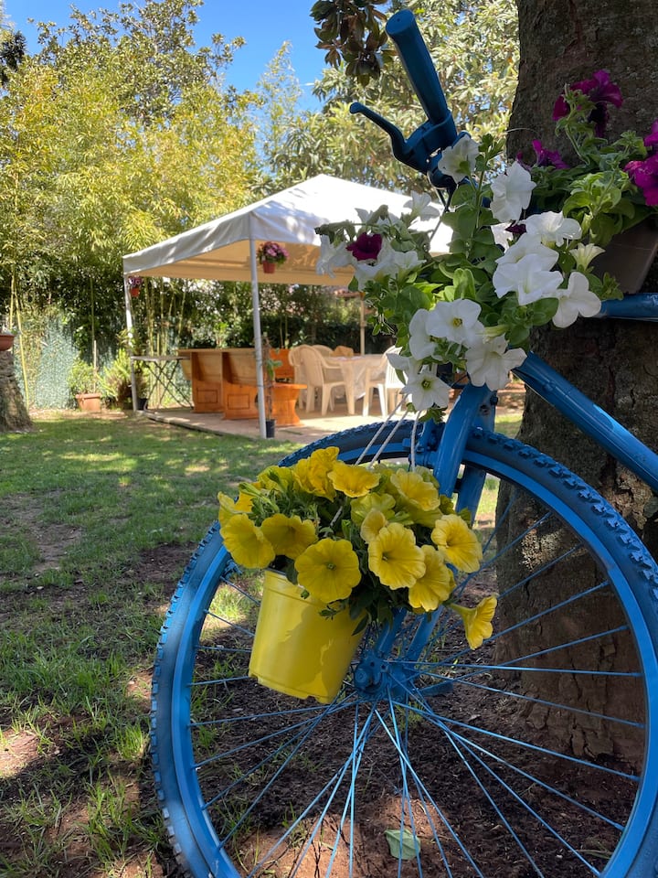 Apartment near sea with lovely garden in villa Vacation homes for